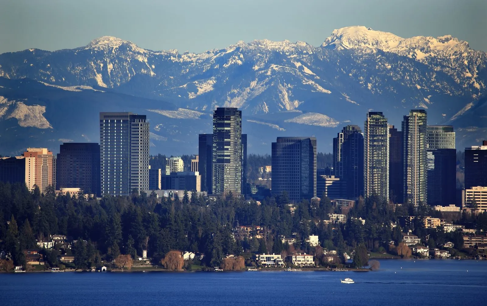 Stress-free,fast, and simple moves for families and businesses across Bellevue, WA