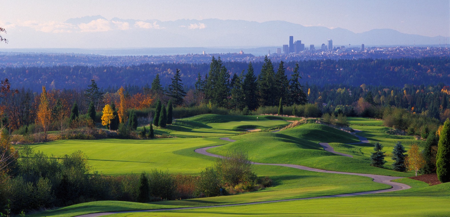Simple, stress-free, and fast moves for families and businesses in Newcastle, WA