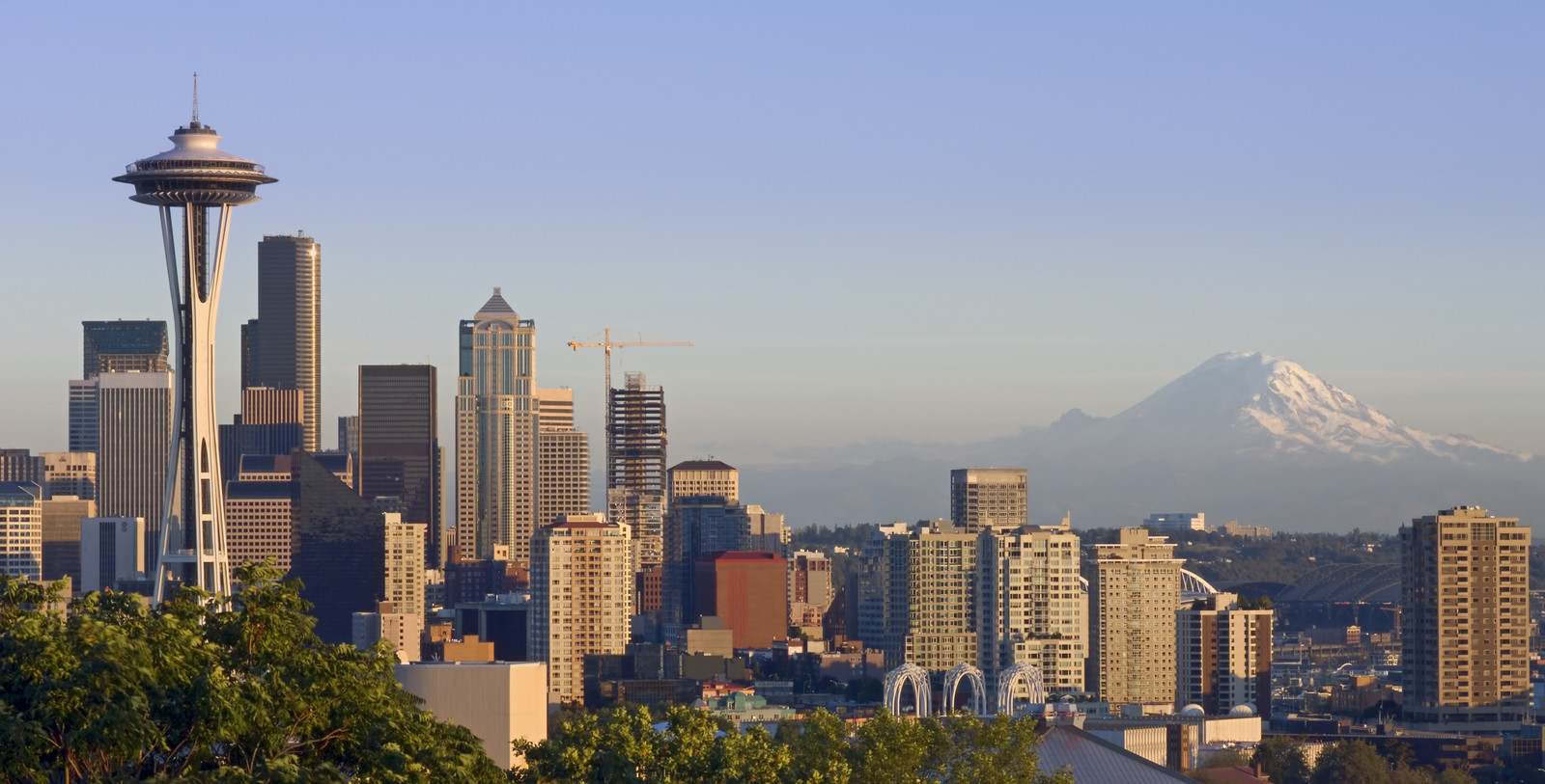 Simple, stress-free, and fast moves for families and businesses in Seattle, WA