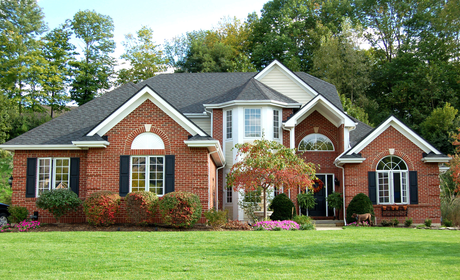 Making moves fast, simple, and stress-free for families and businesses across West Bellevue, WA